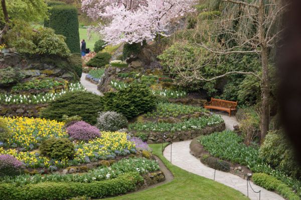 Burchardt Gardens After